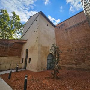 Annonce Location Local commercial Toulouse 31