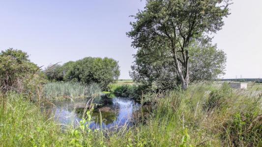 Annonce Vente Programme neuf Chanceaux-sur-choisille 37