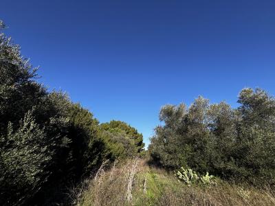 Acheter Terrain 746 m2 