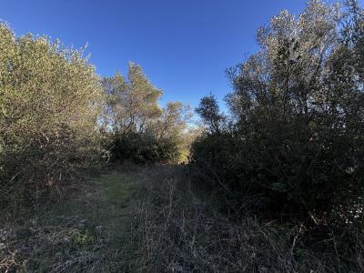 Acheter Terrain  Gard