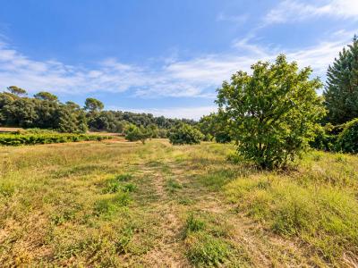 For sale Lorgues 4770 m2 Var (83510) photo 0