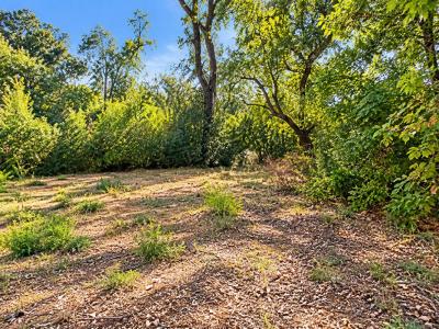 Annonce Vente Terrain Lorgues 83