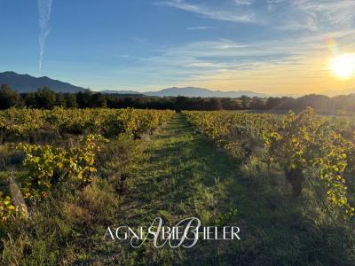 For sale Brouilla 5643 m2 Pyrenees orientales (66620) photo 2