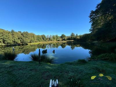 For sale Moissannes 5 rooms 181 m2 Haute vienne (87400) photo 3