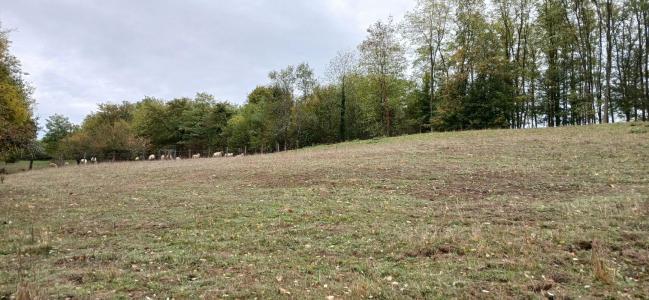 Acheter Maison 250 m2 Melincourt