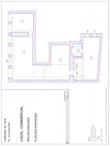Annonce Vente Local commercial Nice 06
