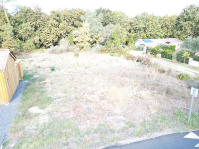 Acheter Terrain Sanguinet 159000 euros