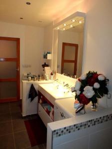 Louer Appartement Amberieu-en-bugey Ain