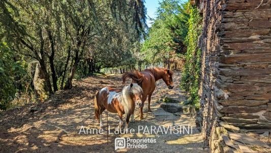Acheter Maison Carcassonne 387000 euros