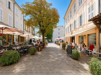 Acheter Maison Levens Alpes Maritimes