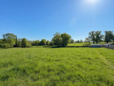 Acheter Prestige Teillet-argenty Allier