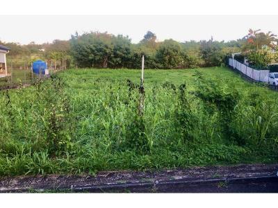 For sale Sainte-anne 802 m2 Guadeloupe (97180) photo 0