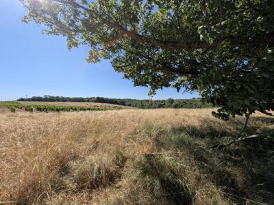 For sale Capian 150 m2 Gironde (33550) photo 1