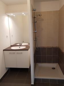 Annonce Location Appartement Francheville 69