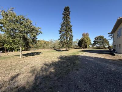 Annonce Vente 5 pi�ces Maison Eauze 32