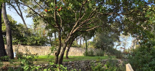 For sale Caveirac 735 m2 Gard (30820) photo 1
