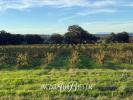 Vente Terrain Bages  12000 m2