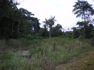 For rent Iracoubo Guyane (97350) photo 2