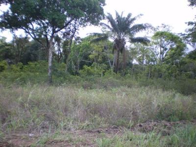 For rent Iracoubo Guyane (97350) photo 3